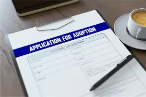 Adoption Attorney Pekin IL
